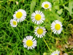 -安庆师范大学(龙山校区)