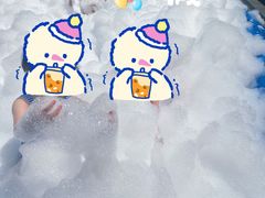 -上海虹桥西郊庄园丽笙大酒店