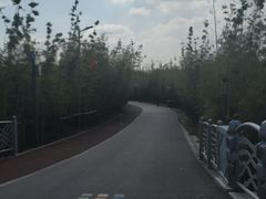 -上海长兴岛郊野公园