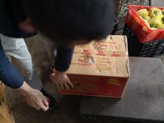 -曼阁市场水果批发市场