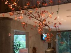 -海兰云天度假区温泉