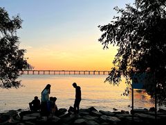 -宝安西湾红树林湿地公园