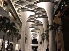 -三亚湾红树林度假世界(木棉酒店)