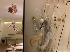 -猫腻·猫咖·撸猫馆(星光大道店)