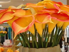 -松雷商业(南岗店)