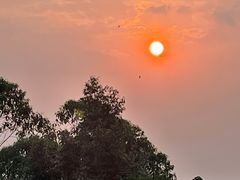 -火炉山森林公园