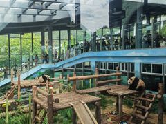 -大连森林动物园