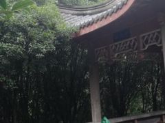 -菊花台公园