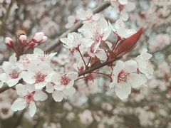 -贵阳市花溪国家城市湿地公园