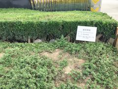-上海第二工业大学(金海路校区)