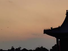-天坛公园