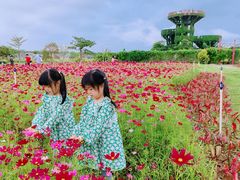 -芒洲湿地公园