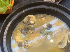 -草墩罗非鱼庄•野生菌•腊排骨(七星街上段店)