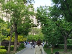 -迎泽公园