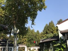 -杭州西湖柳莺里酒店·闻莺厅