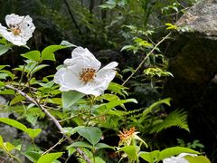 -姚家山旅游风景区