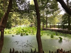 -东湖落雁景区