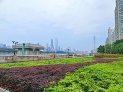 -珠江夜游广州塔·中大码头