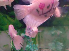 -常州海昌海洋探索馆