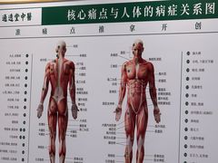 -通透堂中医·精准推拿(万科云城分院)