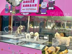 -万达广场(济南高新店)