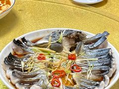 -煲来饱去冷水鱼