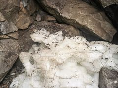 -秦岭终南山世界地质公园翠华山景区