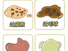 -睿金宠物医院·CT·肿瘤·骨外科