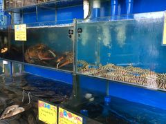 水产区-蚝专家(北滘店)