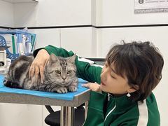 -萌兽医馆·绝育·24小时内科·宠物医院(德胜店)
