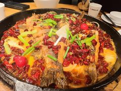 -老板恋上鱼(高新万达店)