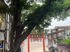 -磁器口古镇