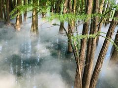 -东湖落雁景区