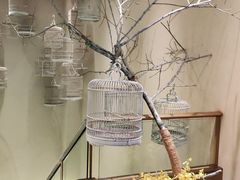 -小厨娘淮扬菜(诚信大道店)