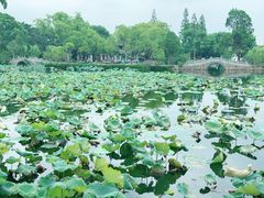 -无锡蠡湖国家湿地公园-蠡园
