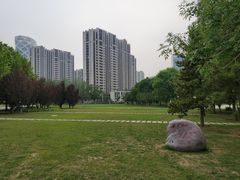 -大望京公园
