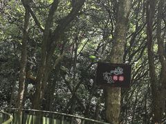 -富春桃源风景区