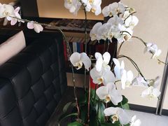 一楼大厅-富邦华一银行(新天地支行)