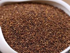 -上海市长宁区天山中医医院