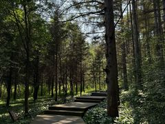 -长春净月潭风景名胜区