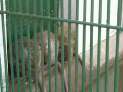 -广东茂名森林公园