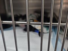 -半岛宠物医院24小时(科华中路店)