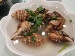 -双井轩(双井店)