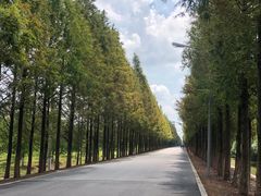 -长兴对江渡客运站