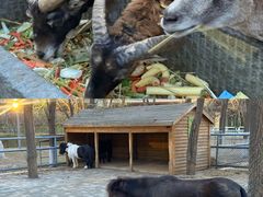 -长白岛森林公园