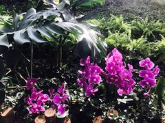 -兰陵国家农业公园