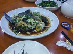 -全乐鱼馆·淳牌有机鱼直营店