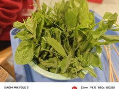 -飘香火锅(玉林西路店)