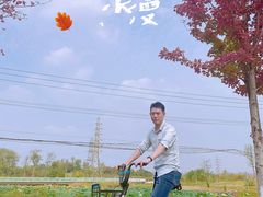 -白鹭湾湿地公园