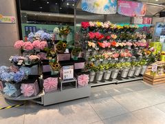-盒马鲜生(领丰汇店)